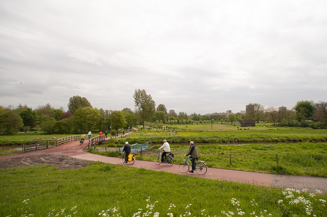 ouderen_fietsen