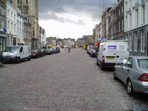 Trillingen bij het fietsen door de Boschstraat