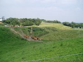 Droogdal Belvédère Groene idylle