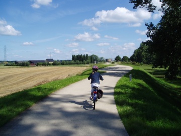 Maasdijk bij Maasmechelen