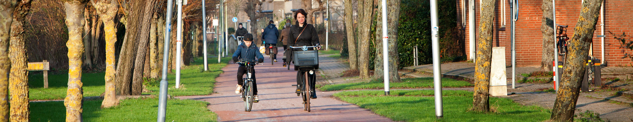 Fietsers in Houten